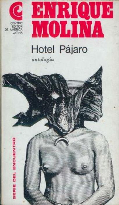 Hotel pájaro