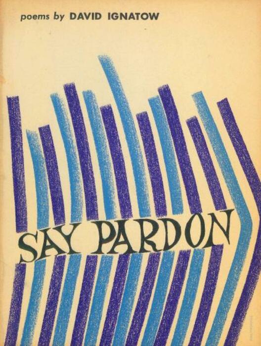 Say pardon